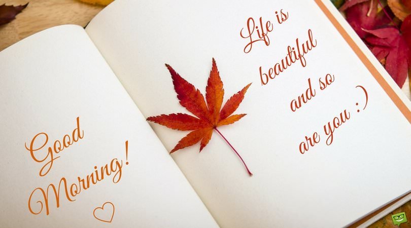 Amazing Good Morning Images and Quotes to Inspire a Perfect Day Amazing Good Morning Images and Quotes to Inspire a Perfect Day