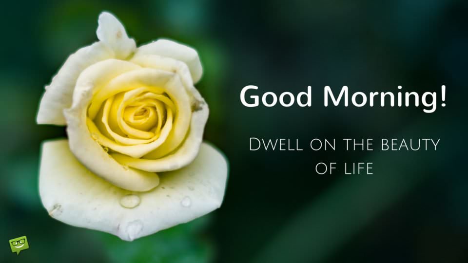 Wake up and Seize the Day! | Positive Good Morning Images Wake up and Seize the Day! | Positive Good Morning Images